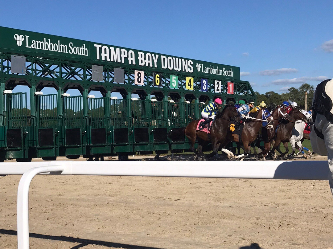 Tampa Bay Downs-坦帕必去景点