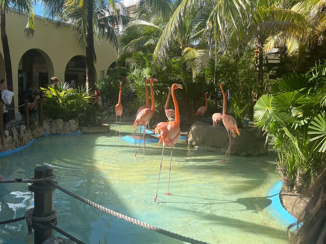 Costa Maya Cruise Port-Mahahual必去景点