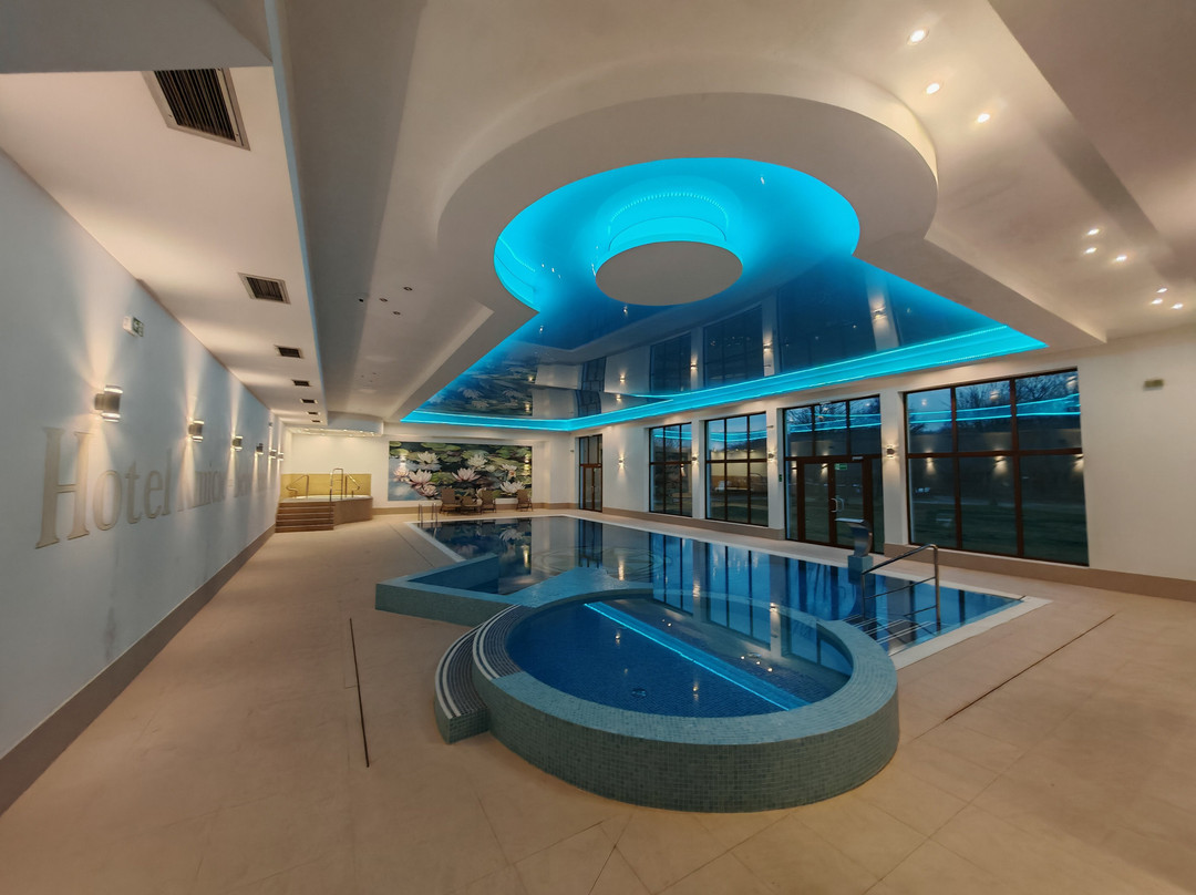 Hotel Kmicic - Belvedere & SPA主图