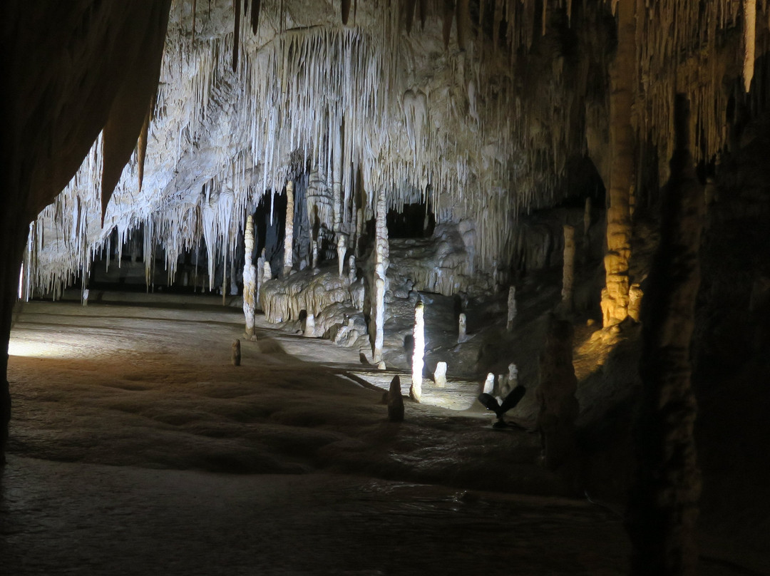 Hastings Caves and Thermal Springs景点图片