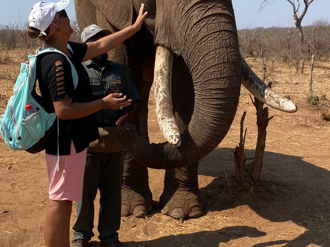 Savannah Adventures Safaris-维多利亚瀑布必去景点
