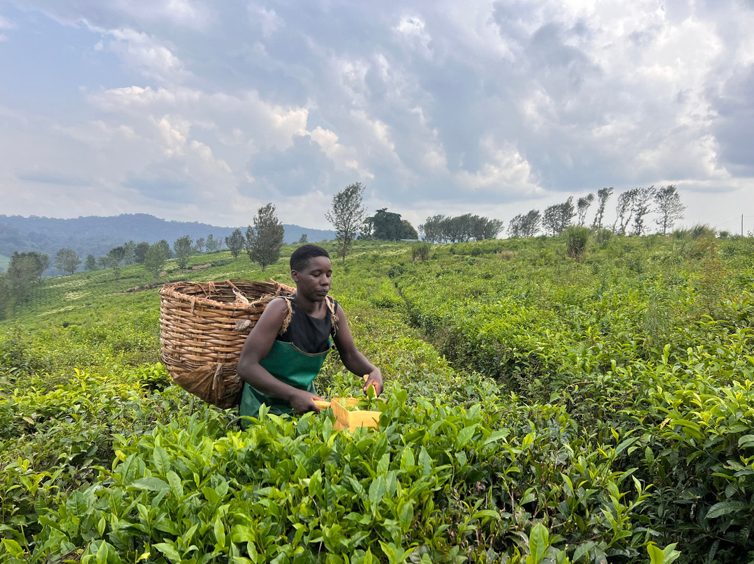 Crazy crater tours-Fort Portal必去景点