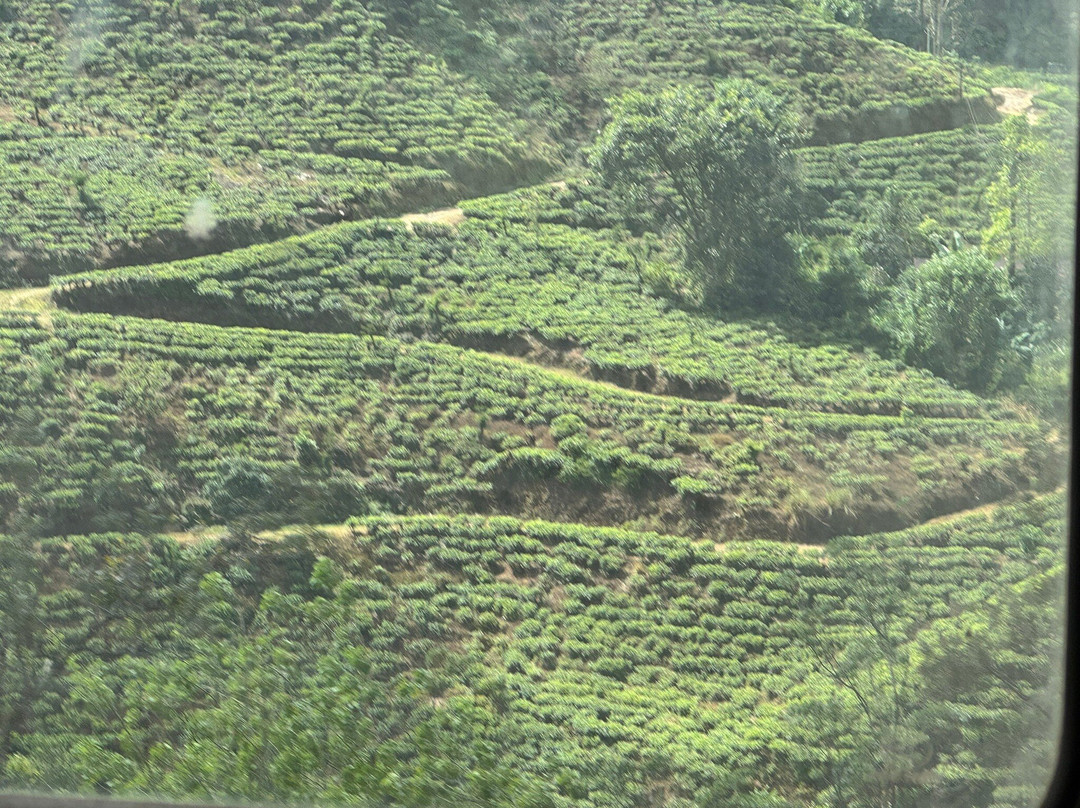 Kandy To Ella Train景点图片