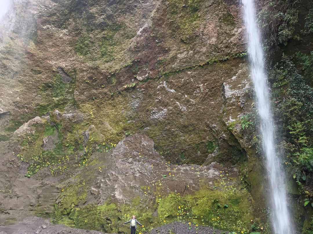 Parque Aventura Chaiguen-Quemchi必去景点