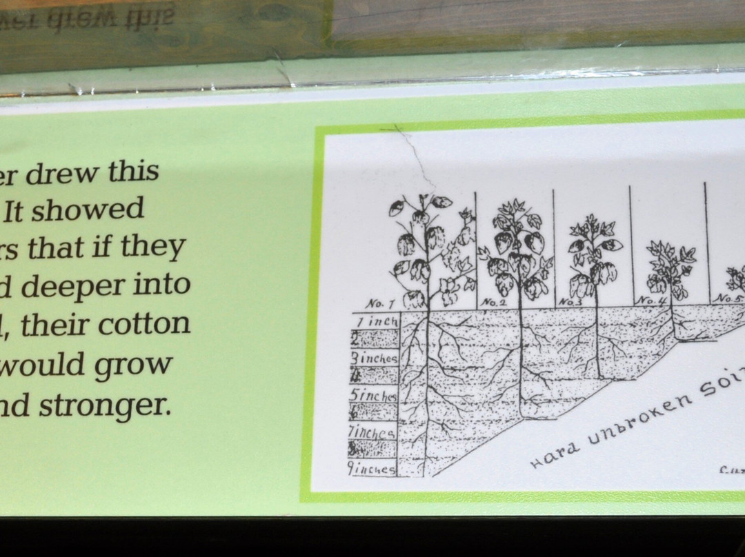 George Washington Carver National Monument景点图片