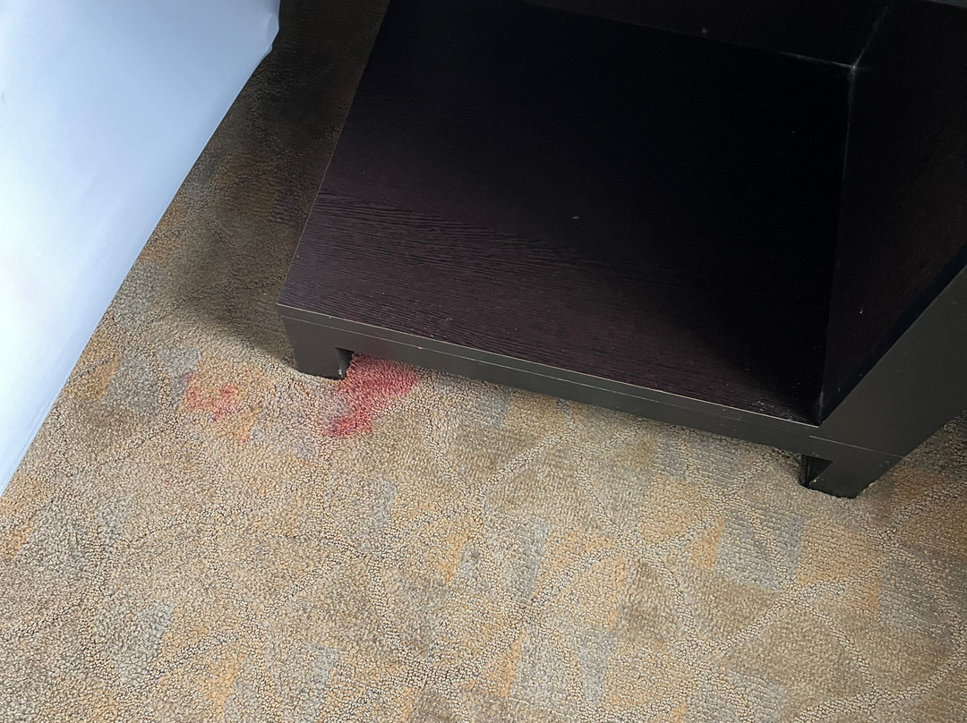 The Gin Hotel, Ascend Hotel Collection主图