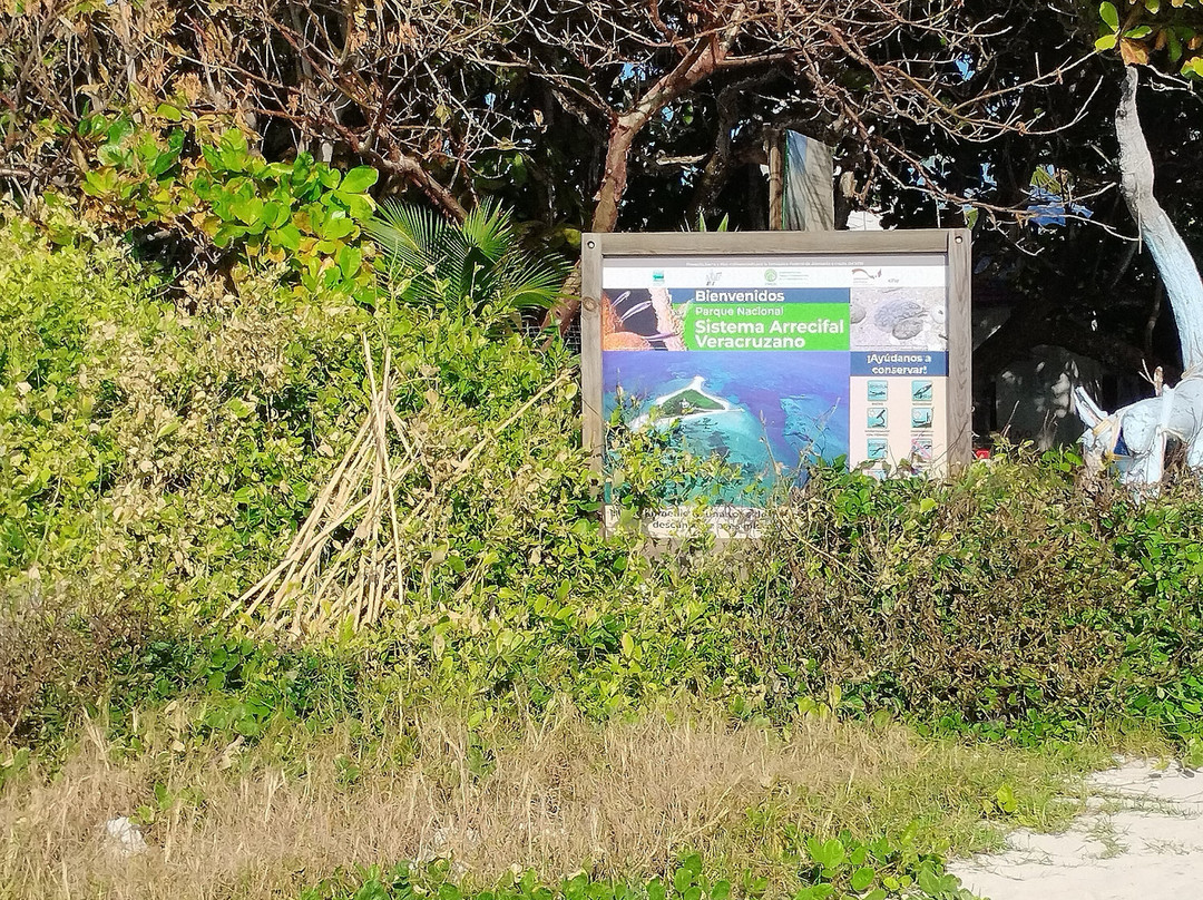 Isla De Enmedio-Boca del Rio必去景点