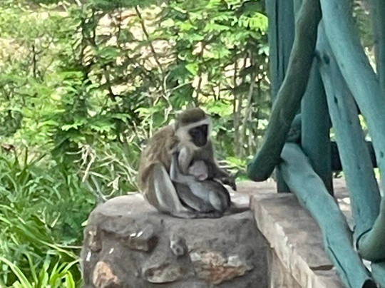 Travel Solutions Kenya-瓦塔木必去景点