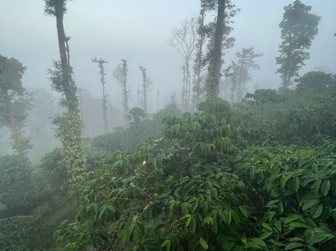 Coffee County Resort主图