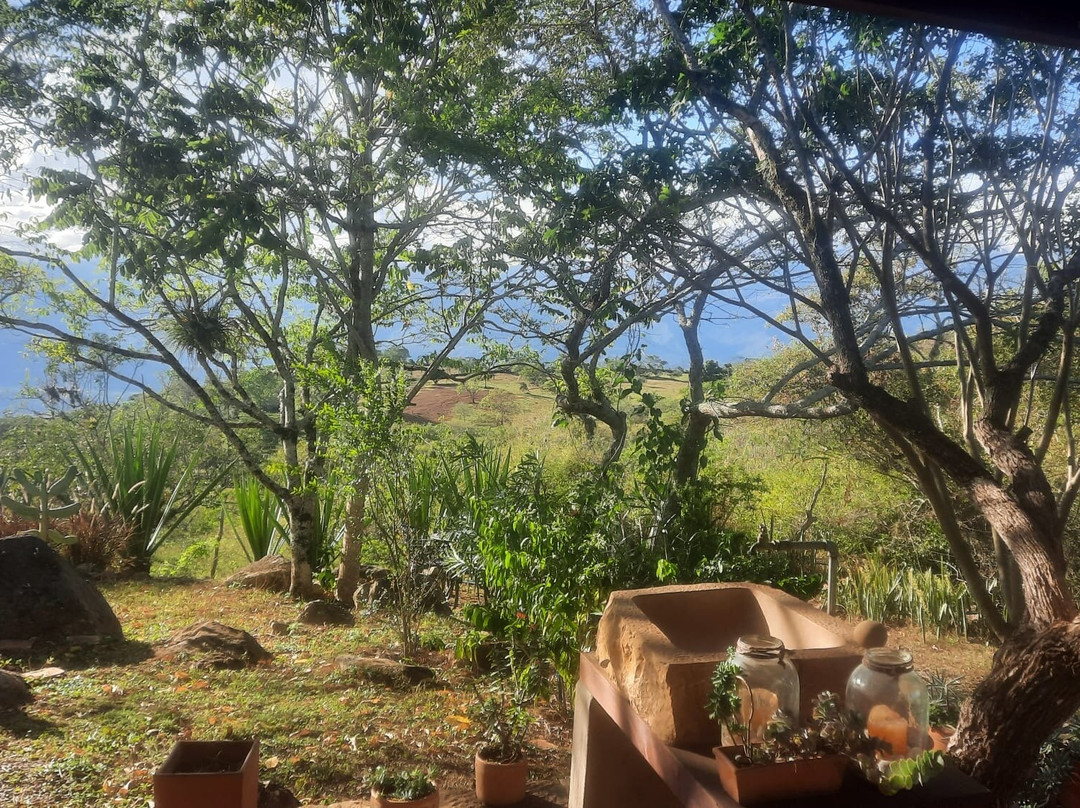 Finca San Pedro主图