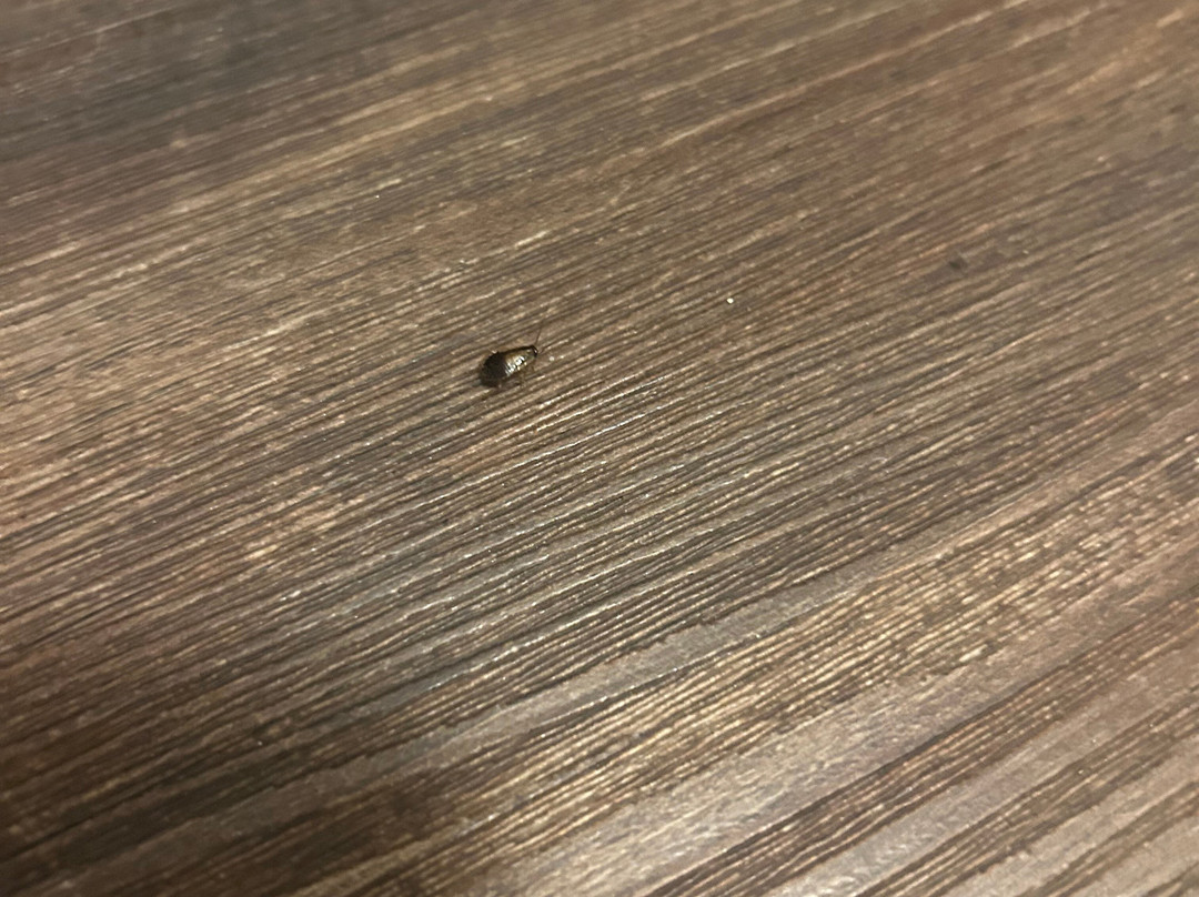 Red Roof Inn Findlay主图