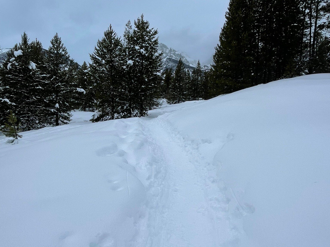 Taggart Lake-大提顿国家公园必去景点