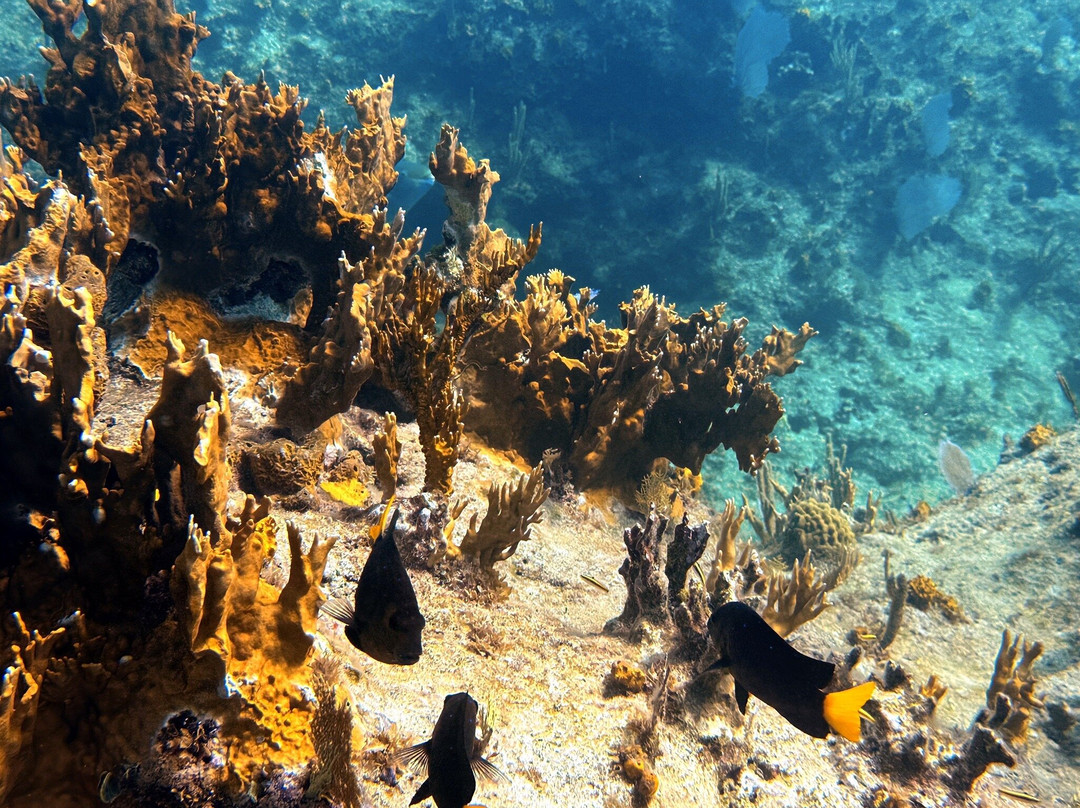 Sea Jay Cruises-格雷斯湾必去景点