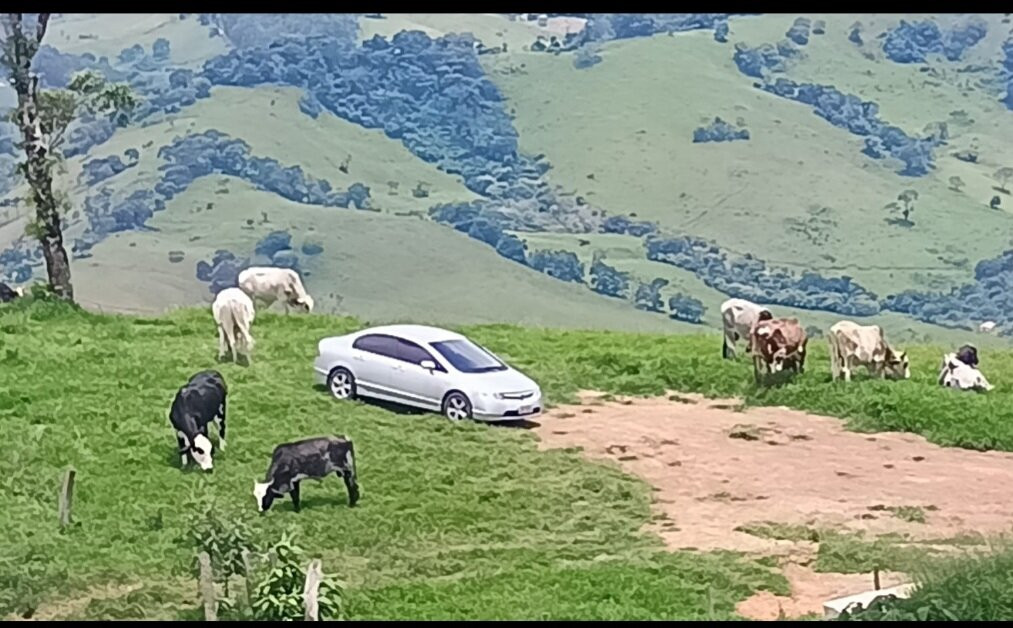 Pico Do Lobo Guara-Extrema必去景点