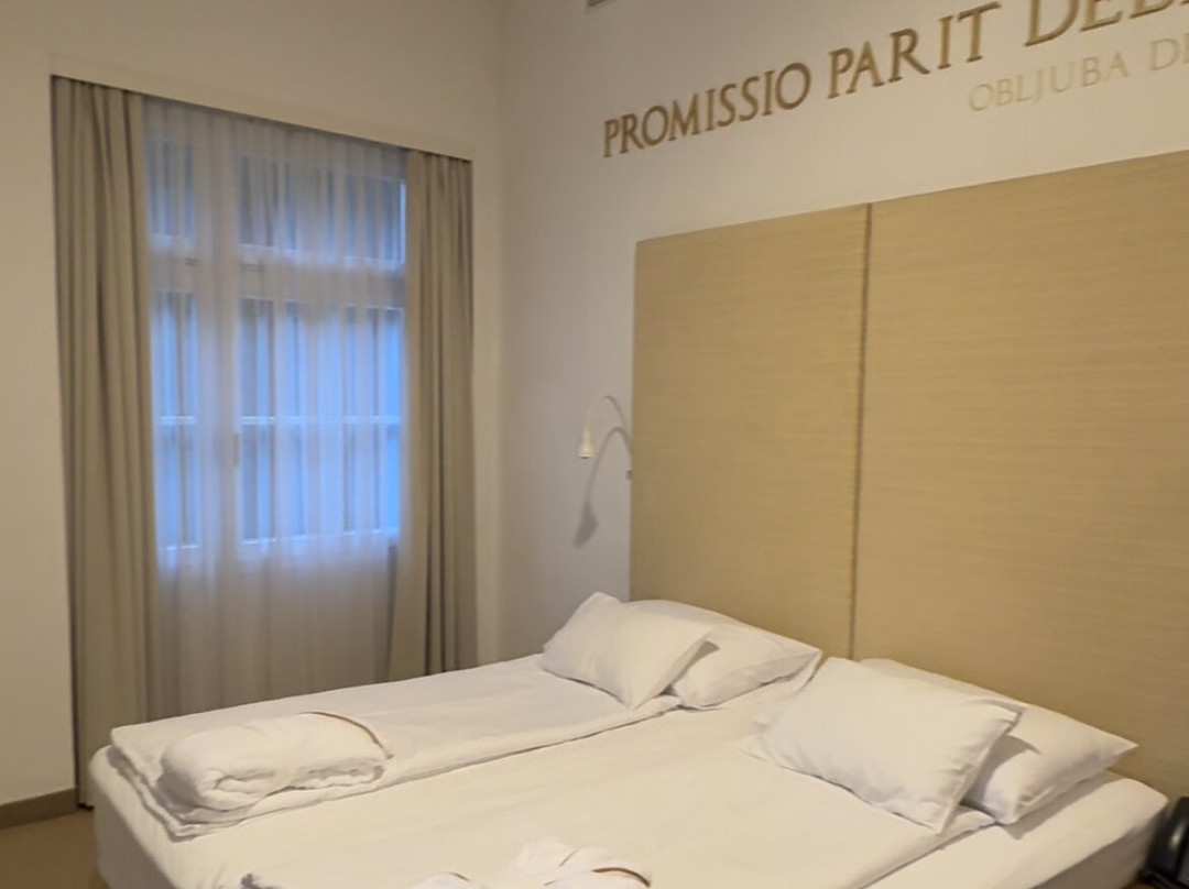 Hotel Rimski Dvor - Rimske Terme主图