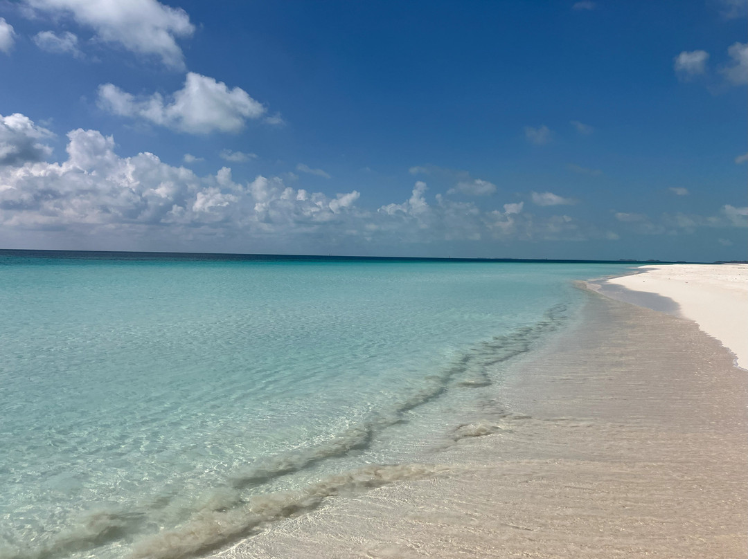 Starfish Cayo Largo主图