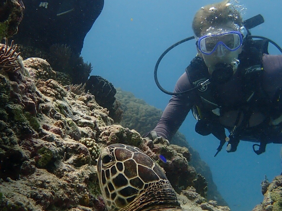 Gili Scuba Diving景点图片