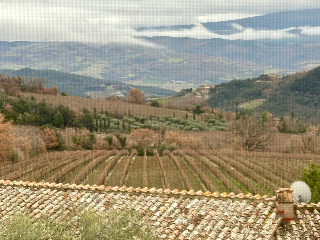 San Polo Montalcino-蒙塔尔奇诺必去景点