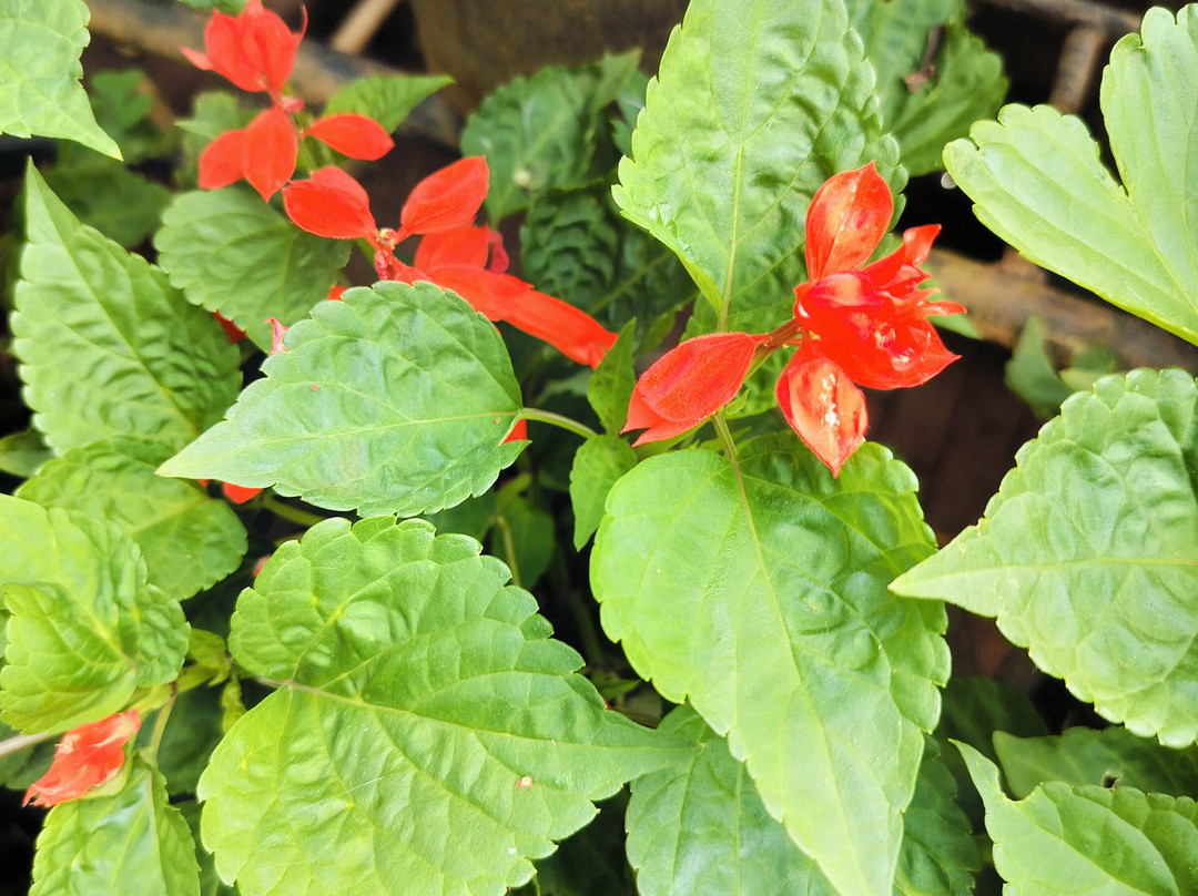 Hotel Amora Premium主图