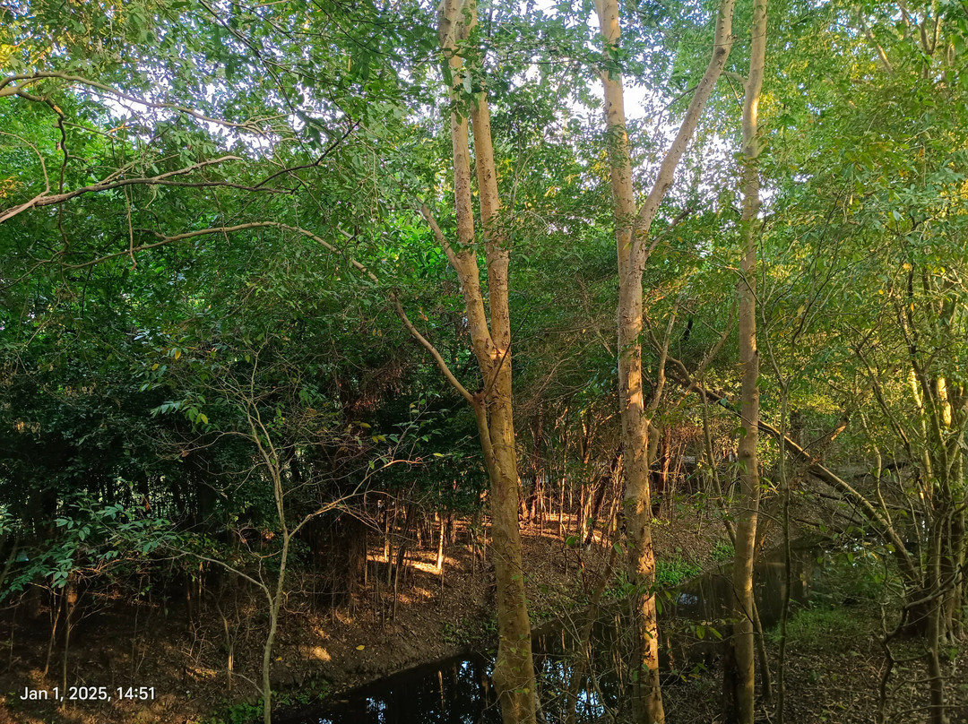 Borgos Resort & Spa主图