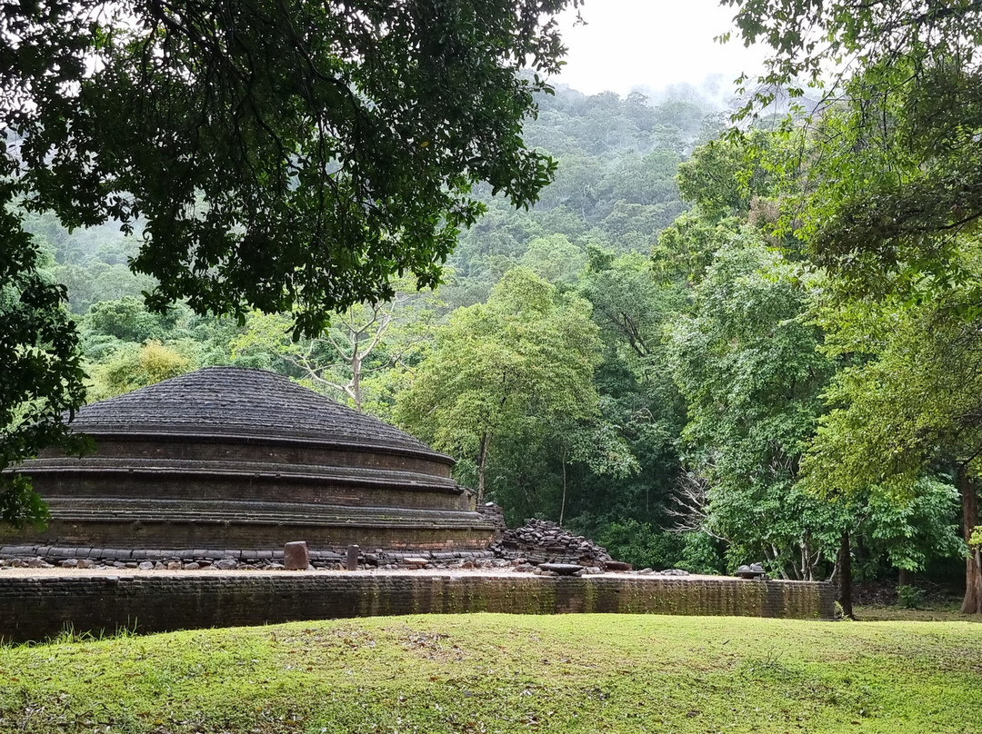 Kaludiya Pokuna景点图片