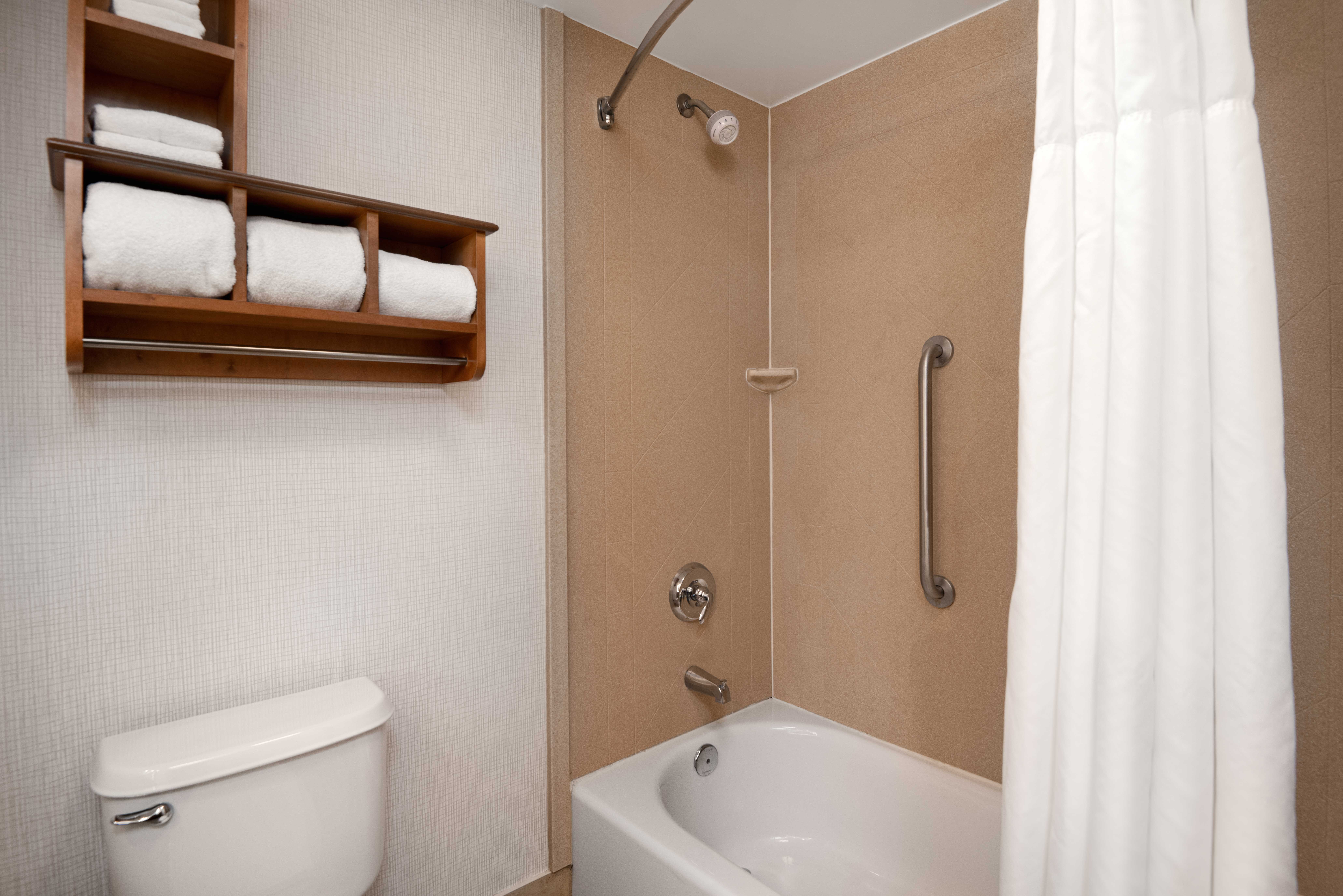 Hampton Inn Tallahassee-Central-浴室