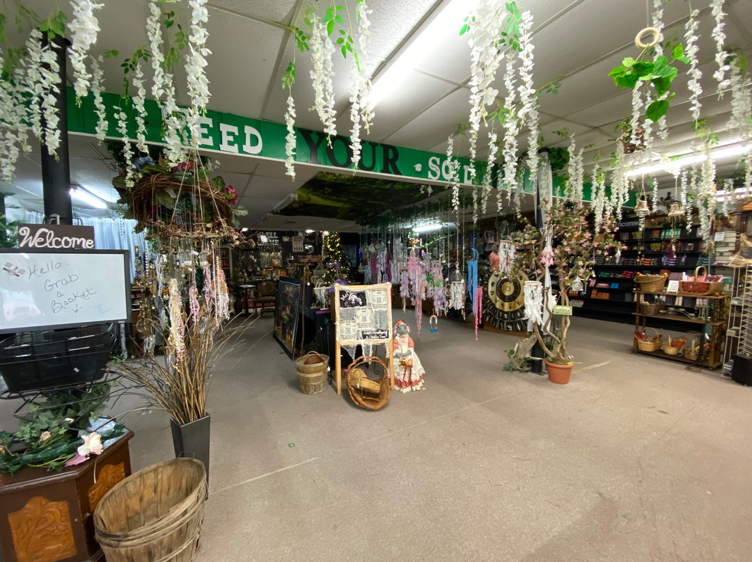 Mels Candles-罗拉必去景点