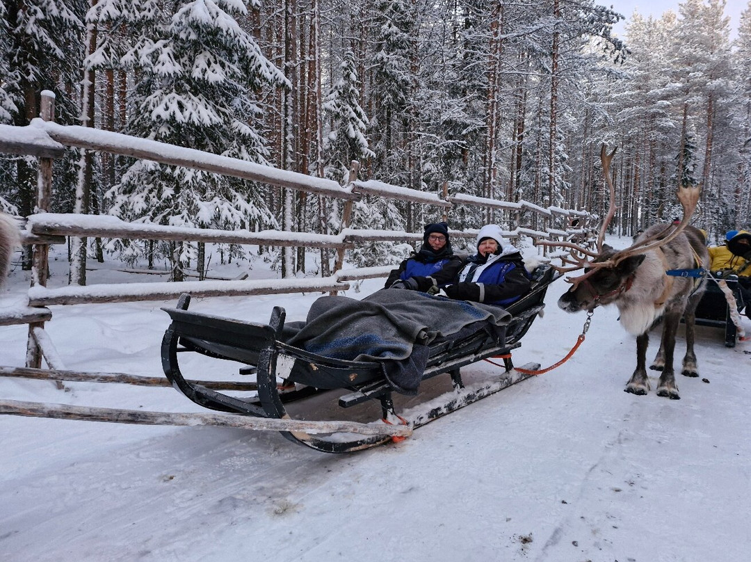 Wild About Lapland-罗瓦涅米必去景点
