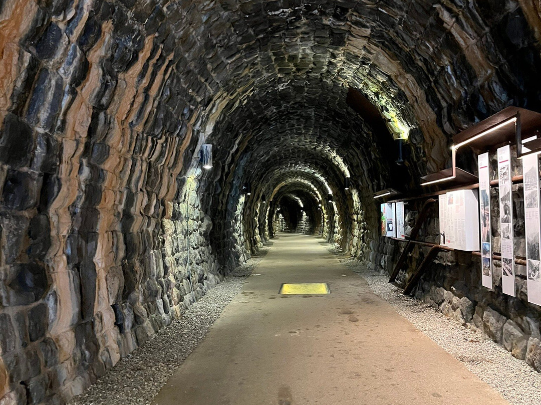 Sentiero del Trenino della Val Gardena景点图片