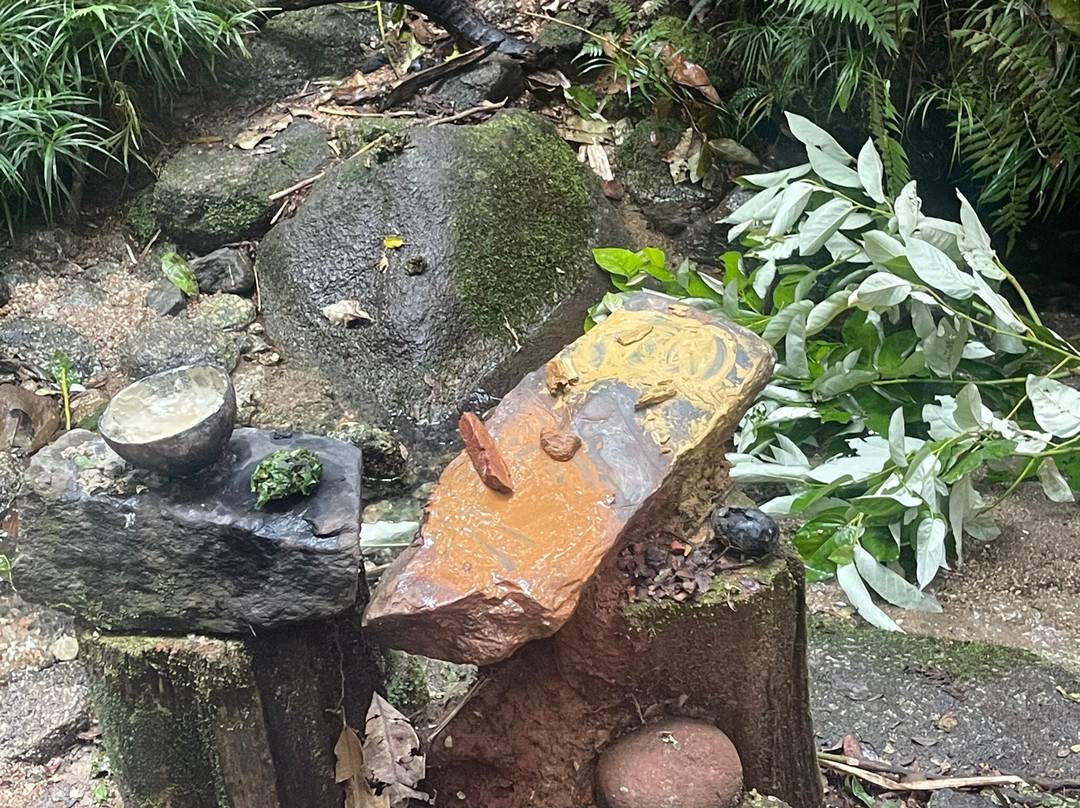 Mossman Gorge Centre Tours-Daintree必去景点