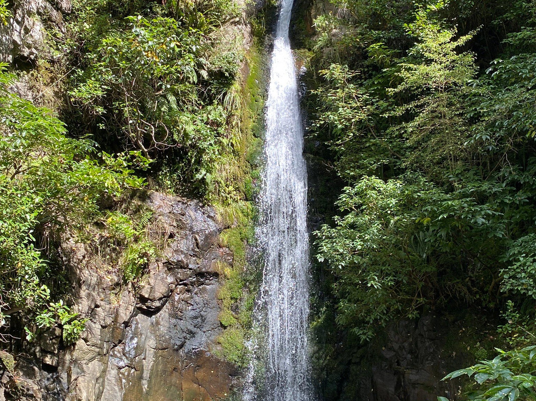 Washpen Falls景点图片