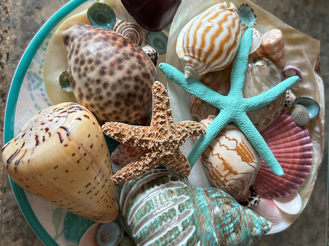 Shell World Florida Keys-拉哥岛必去景点