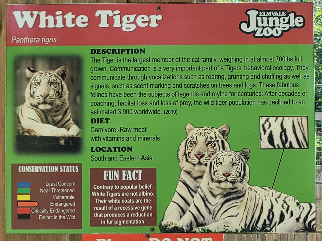 Elmvale Jungle Zoo-Elmvale必去景点