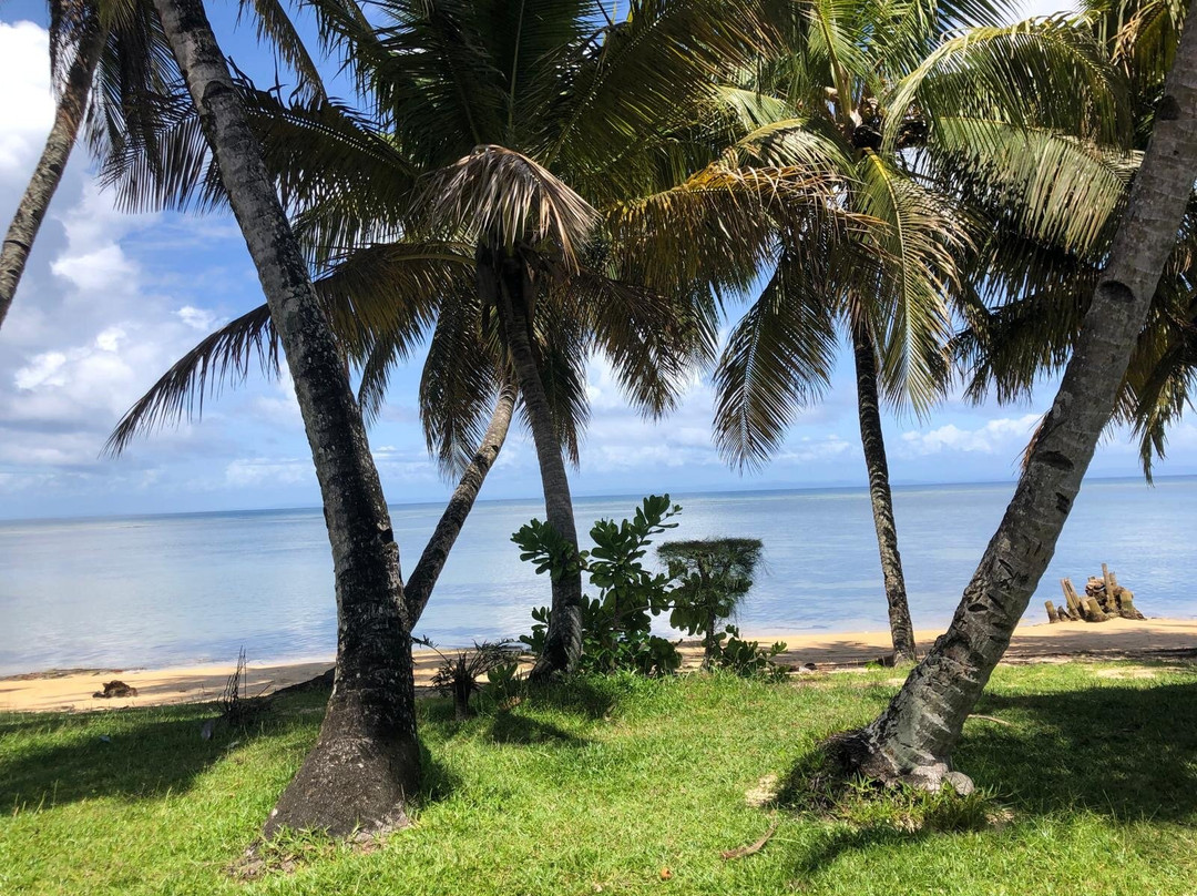 Madagascar Ideal Adventures景点图片
