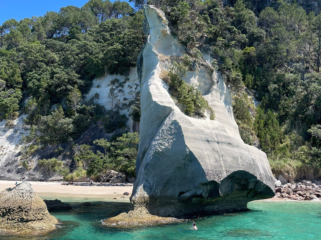 Mercury Bay Discoveries - River & Waterways Cruise景点图片