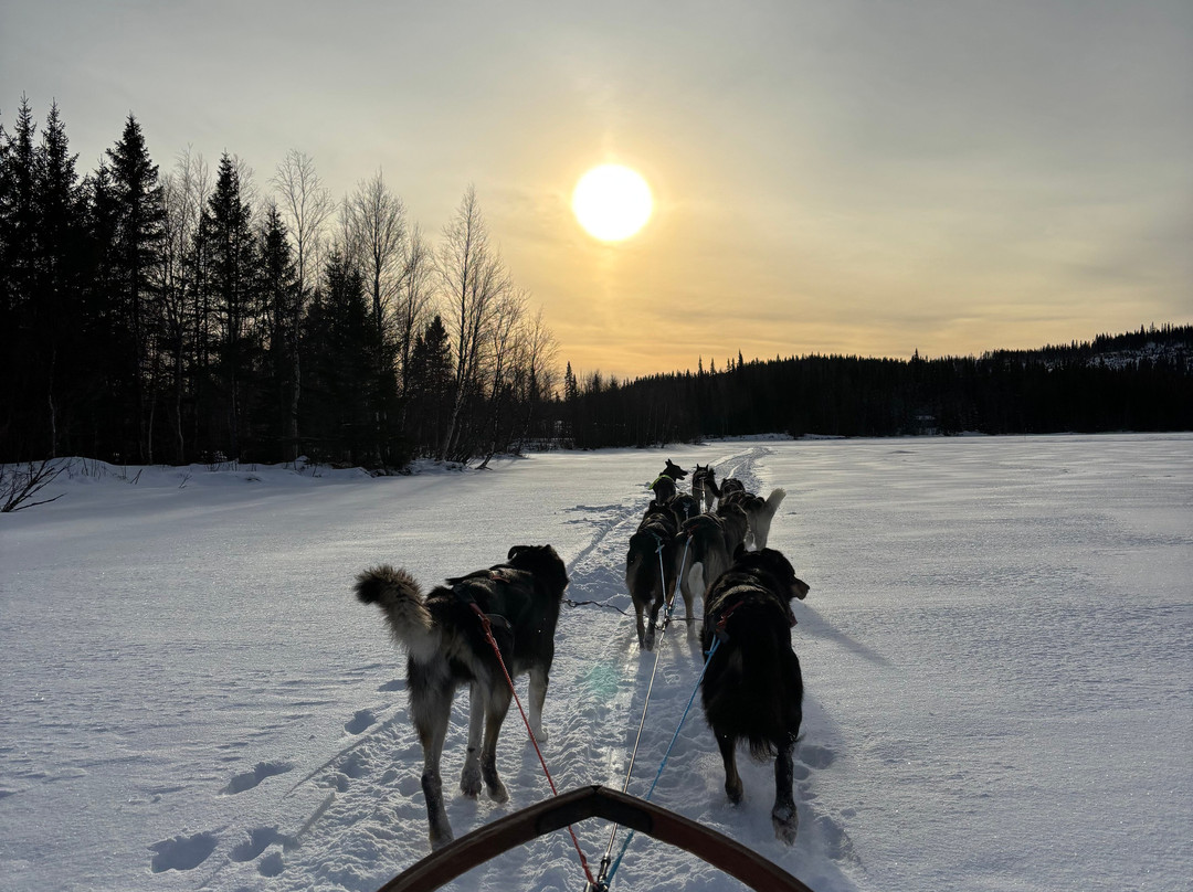 Are Sleddog Adventures景点图片