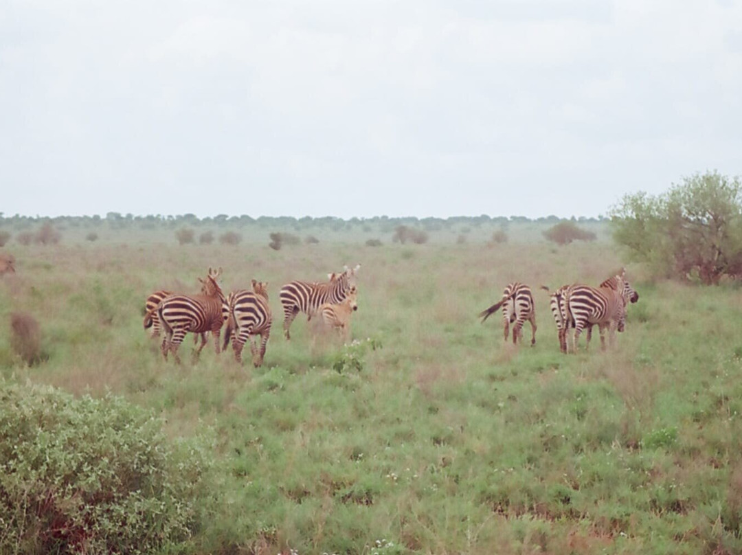 LUMO Community Wildlife Sanctuary景点图片