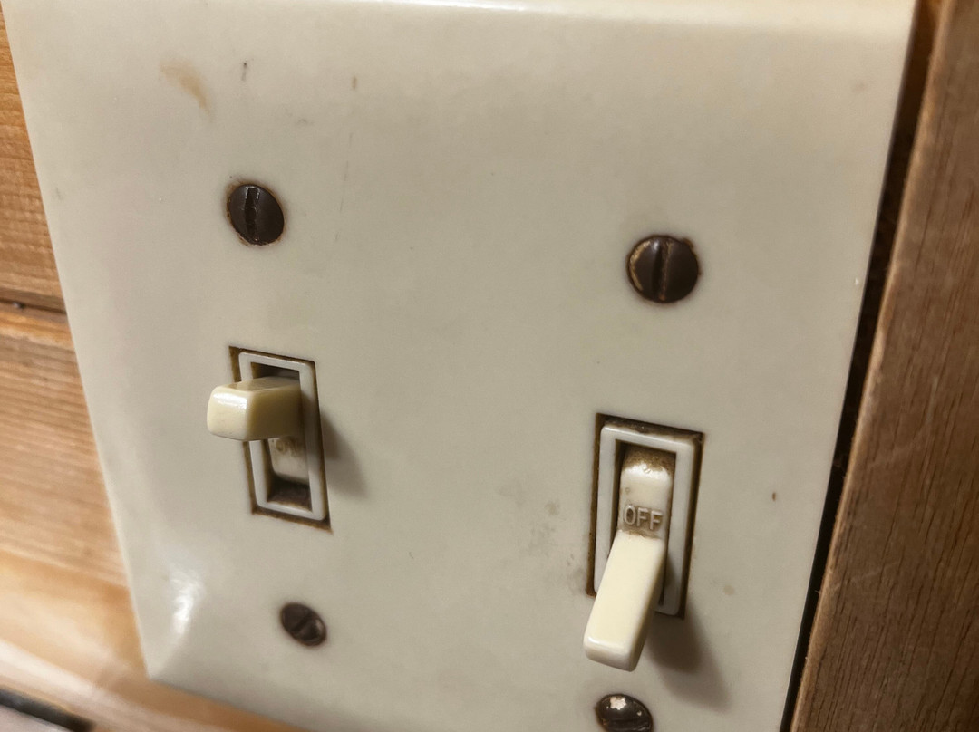 Pinewood Motor Inn主图