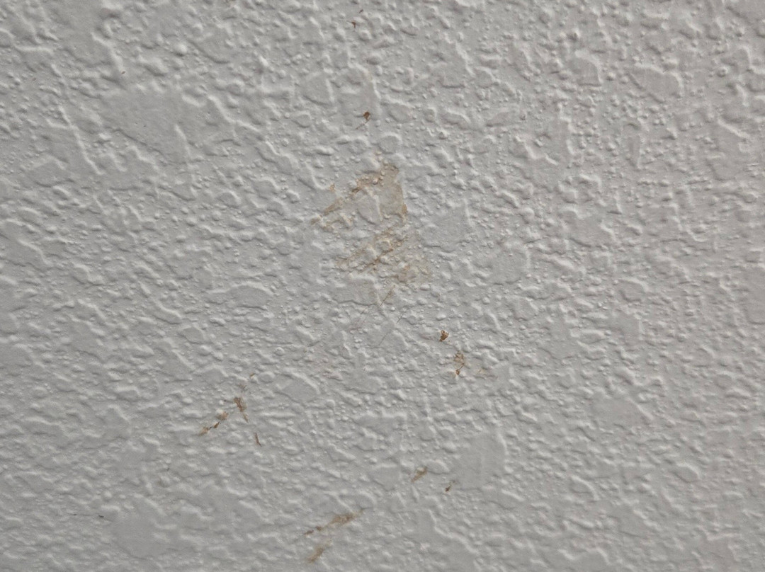 La Quinta Inn & Suites by Wyndham Paducah主图