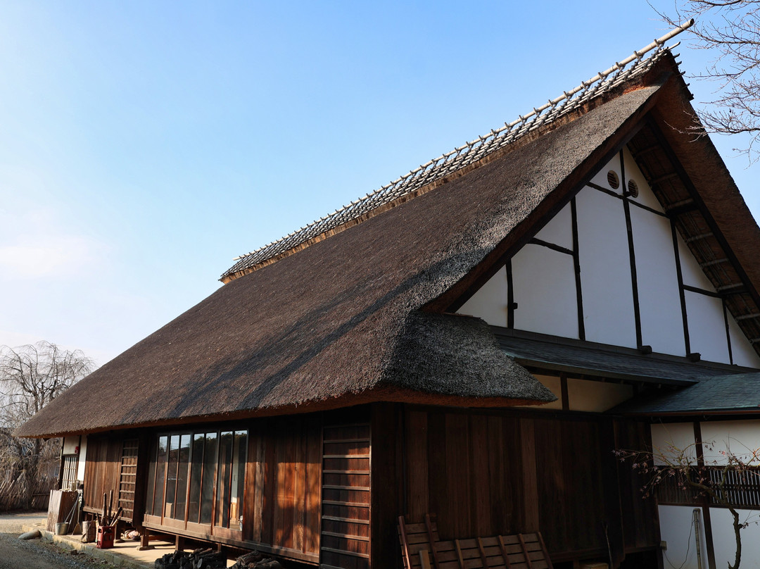 Seihaku-ji Temple景点图片