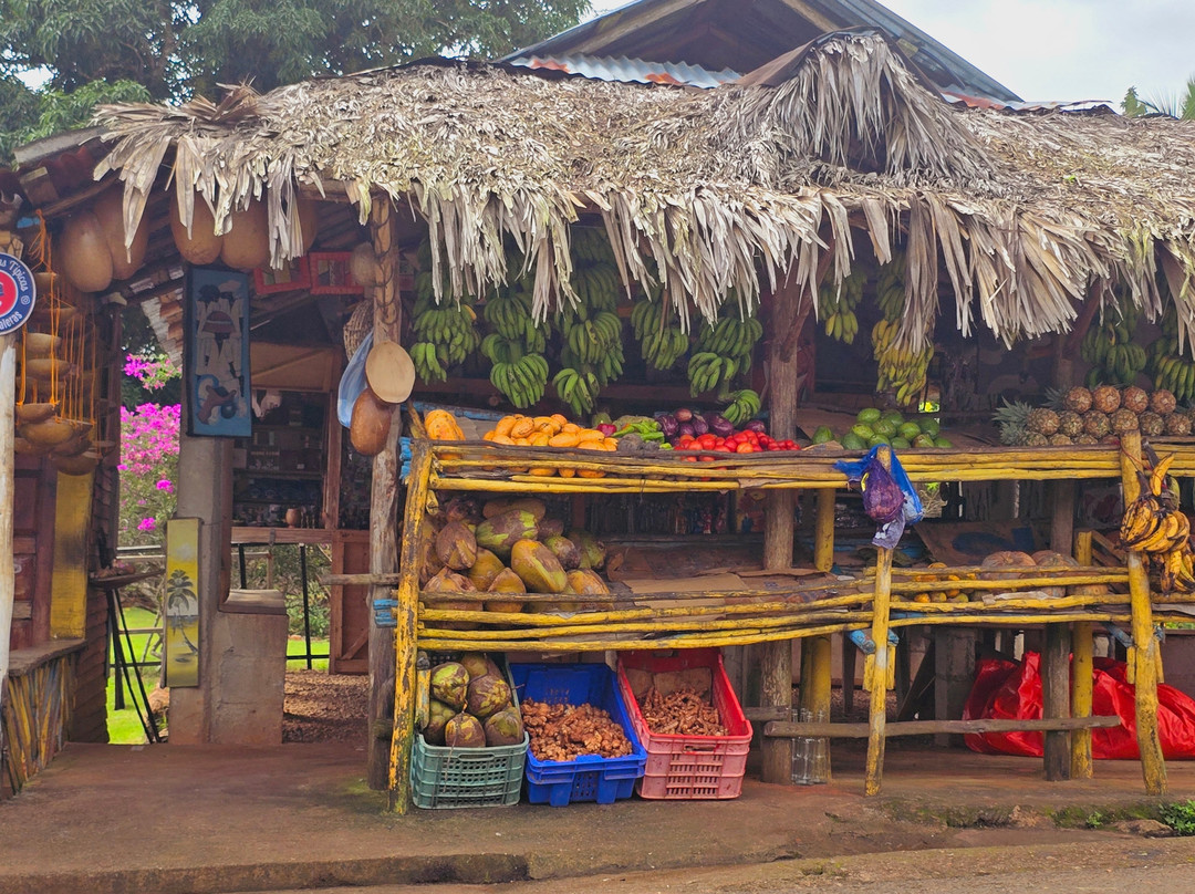 Ruta De Las Casas Típicas