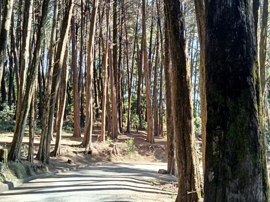 Cerro Caracol-康塞普西翁必去景点