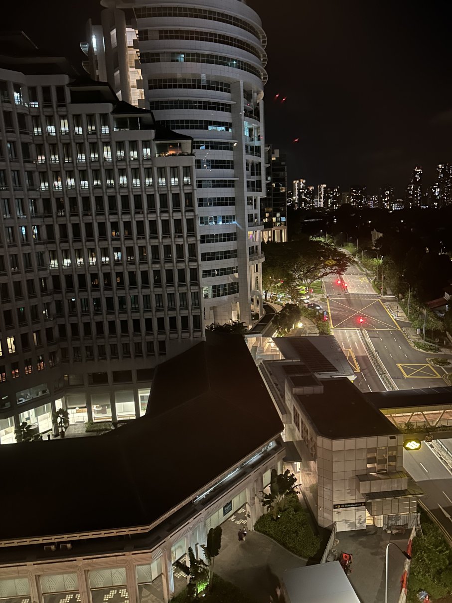 新加坡东陵JEN酒店 香格里拉集团-酒店景观