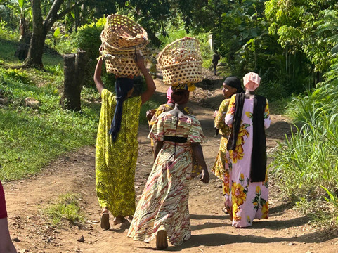 KAIZULU TOURS AND SAFARIS-莫洛哥罗必去景点