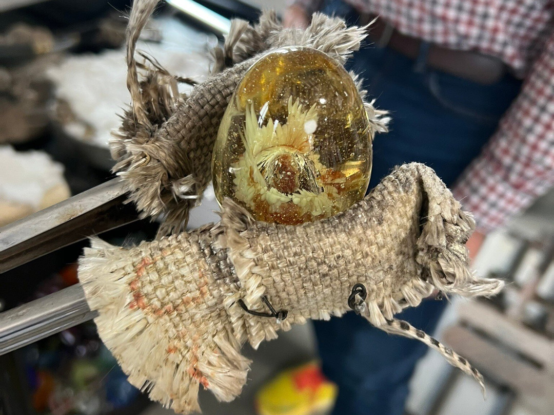 Aurora Borealis Glassworks-阿尔伯克基必去景点