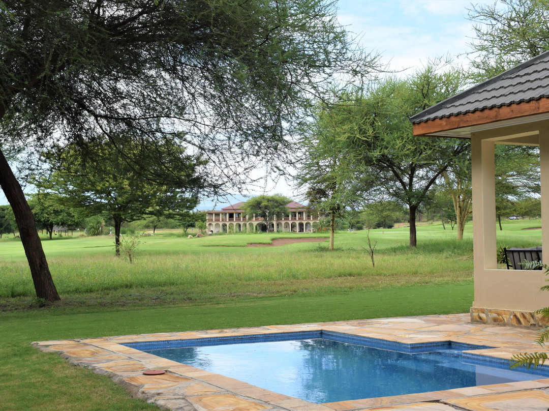 The Green Side主图