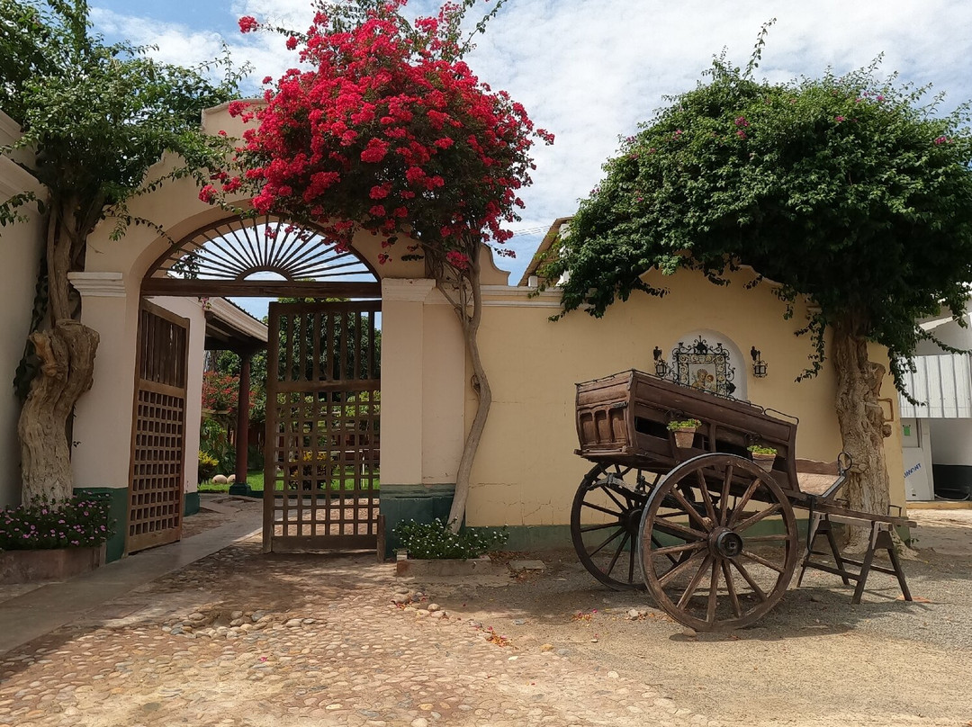 Bodegas Vista Alegre-伊卡必去景点