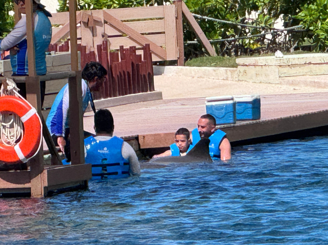Delphinus Punta Cancun景点图片