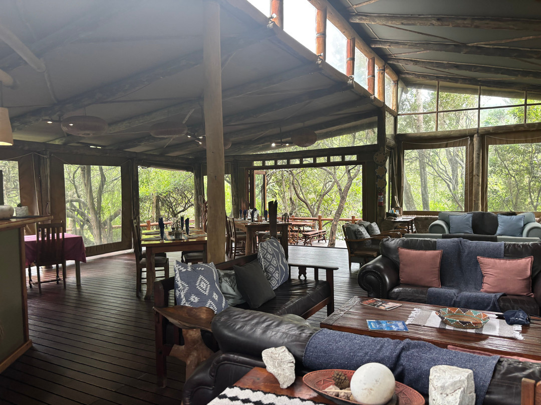 Sibuya Game Reserve - Private Day Trips-Kenton-on-Sea必去景点