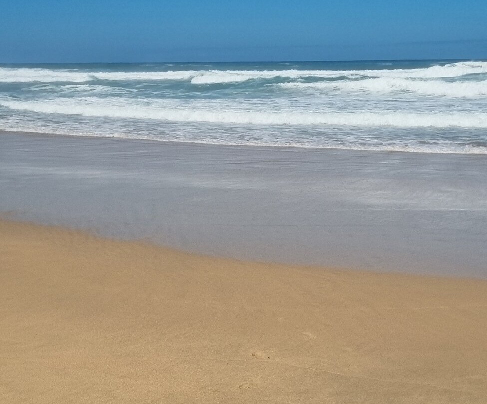 Erika27 - Top B&B Value主图